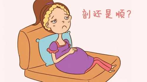 北京试管助孕机构,找女人代怀产子公司,试管婴儿包成功包生男孩_胚层