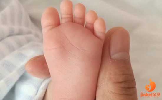 苏州借卵生女儿,上海婚前备孕检查流程揭秘：确保优生优育与健康宝宝的基础