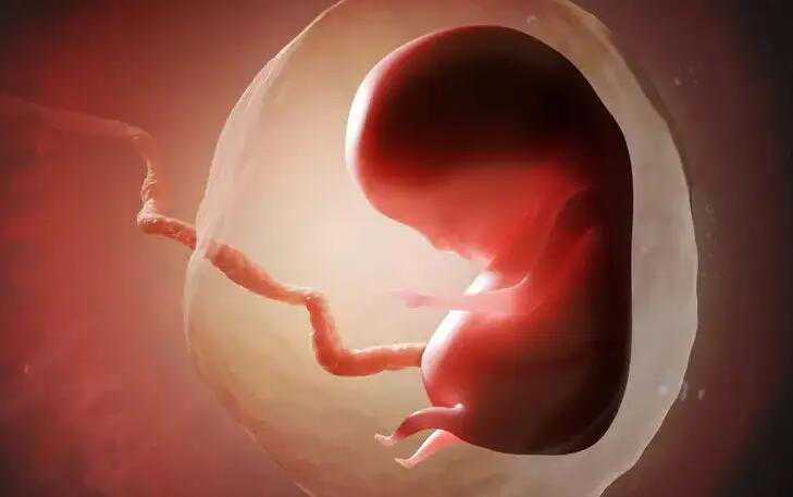苏州代生生儿子 苏州大学附属第一医院做三代试管供卵生男孩费用明细 ‘三胎